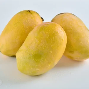 Sb chaunsa, Mousmi Chaunsa