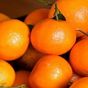 Pakistani Oranges